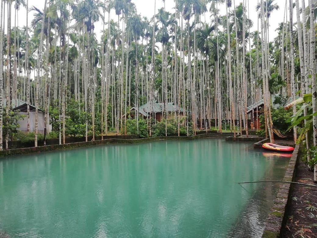 300-year-old stepped heritage pond at Yamunatheeram Resort