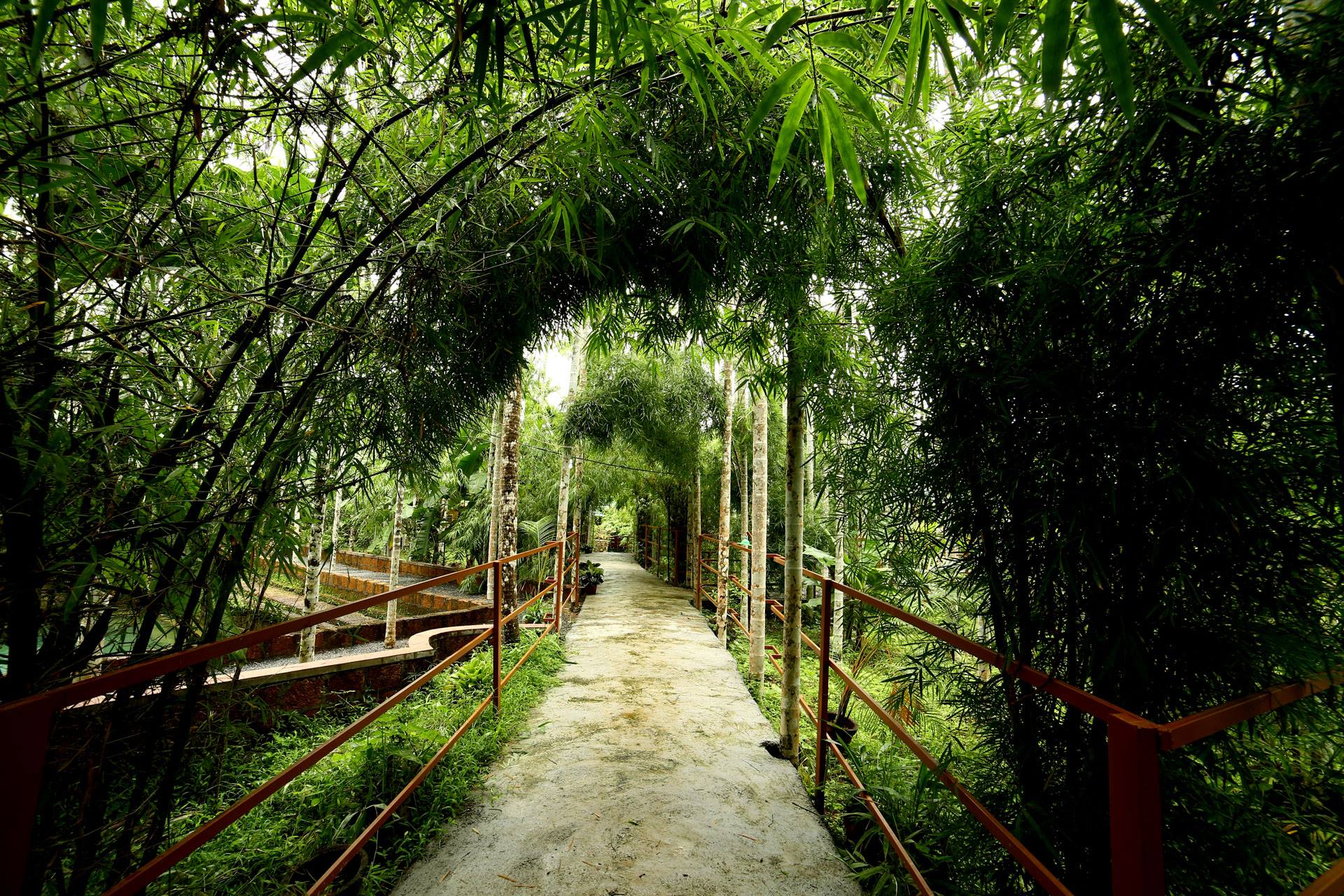 Garden pathway with tropical plants at Yamunatheeram nature resort